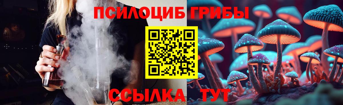 Псилоцибиновые грибы GOLDEN TEACHER  Вход с VPN  Тайшет 
